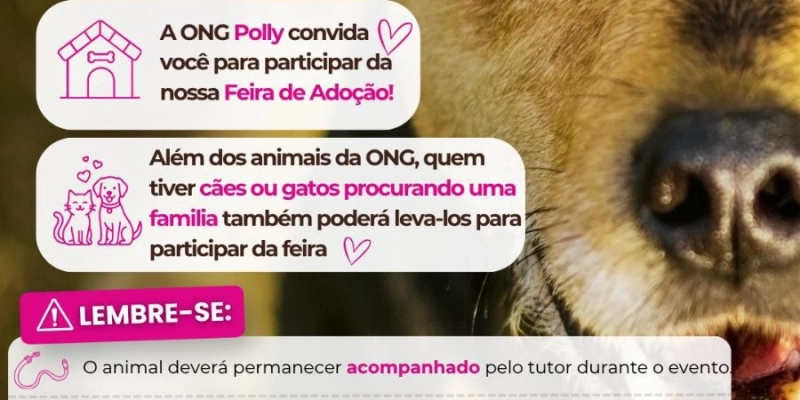 Feira de Adoção de Cães e Gatos acontecerá sábado (06), no Mega Atacadista em Ivinhema