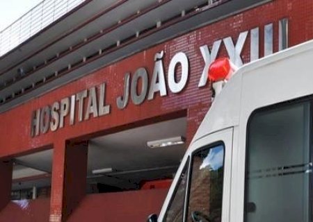 MG: Menino de 12 anos morre após ser atacado por cães da raça rottweiler