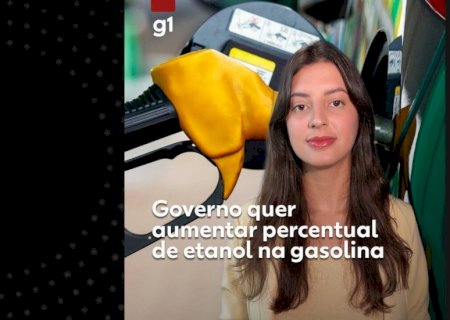 De olho no preço dos alimentos, governo está sendo cuidadoso para aumentar percentual de etanol na gasolina, diz ministro