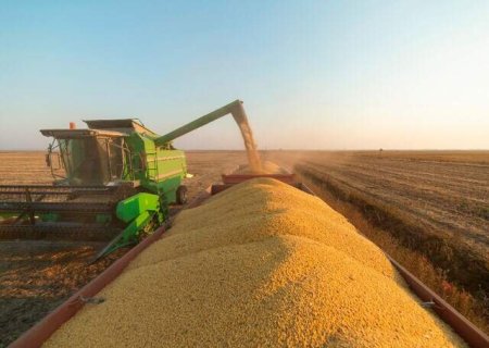 MS colhe 75,8% da soja, mas fica abaixo da m&eacute;dia hist&oacute;rica