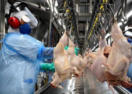 Brasil abre 5 novos mercados agropecu&aacute;rios na China, o que deve beneficiar MS
