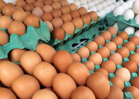 Ovos de granja com caso de gripe aviária estão rastreados, diz Mapa