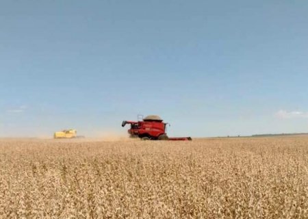 Setor produtivo vê 'fôlego' em projeto de lei para negociação de dívidas