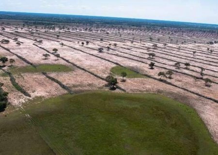 Pantanal perdeu &aacute;rea natural maior que duas Campo Grande em 40 anos