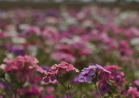 Primavera começa com chegada de frente fria, temporais e fortes ventos