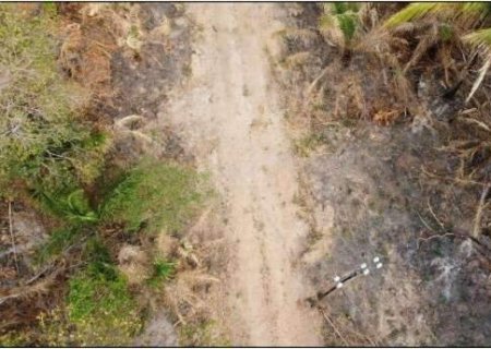 Fazenda de MS &eacute; investigada por queima de 2,1 mil hectares em &aacute;rea proibida