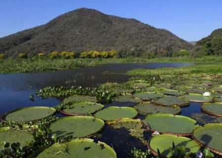 Lula sanciona "Estatuto do Pantanal" com diretrizes para conserva&ccedil;&atilde;o do bioma