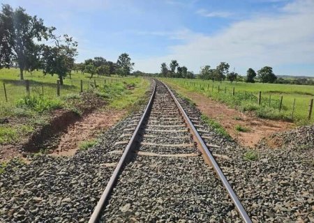 F&aacute;brica de celulose recebe licen&ccedil;a para implantar ramal ferrovi&aacute;rio em MS