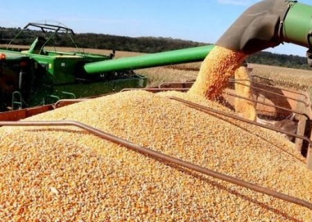 Depend&ecirc;ncia da China e tens&atilde;o em Taiwan colocam agro de MS em alerta