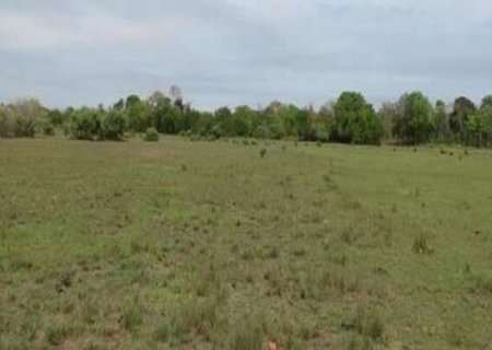 Agropecu&aacute;ria apresenta estudo para desmatar 5,9 mil hectares do Pantanal