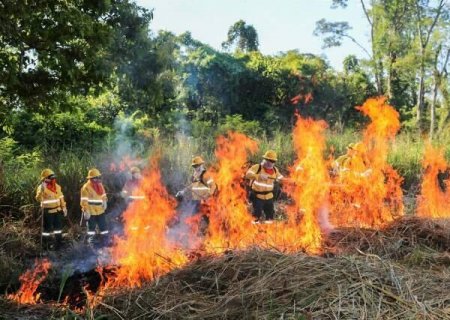 Brasil e Bol&iacute;via treinam equipes em curso in&eacute;dito contra inc&ecirc;ndios no Pantanal